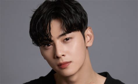 ชาอึนอูcha Eun Woo ประวัติดาราเกาหลี ดาราเกาหลี