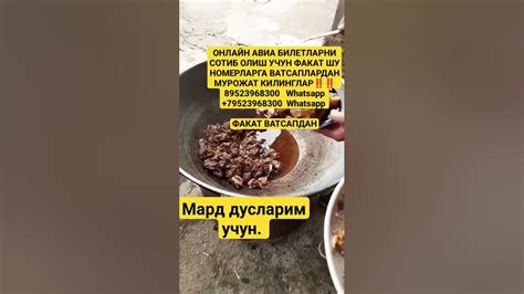 Мард дўстларга ташаб қўямиз #beruniy #uzbekistan #karakolpogiston # ...