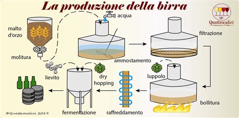 La Produzione Della Birra Quattrocalici