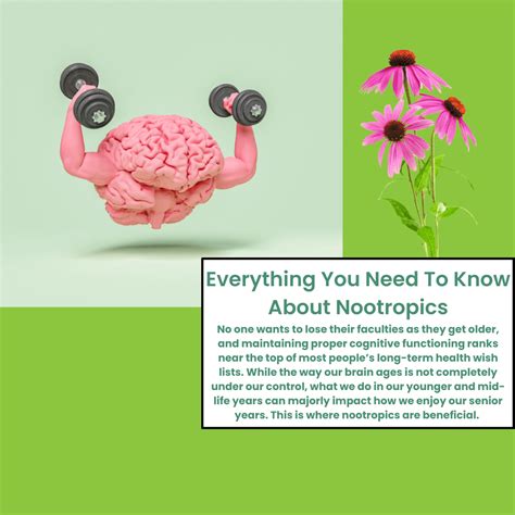 Everything You Need To Know About Nootropics — Divine Green Life