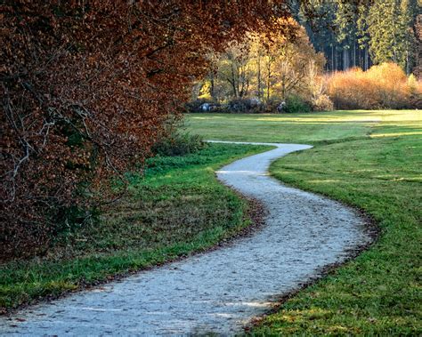 Free Images Landscape Tree Nature Forest Hiking Trail Lawn