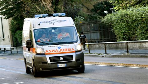 Muore Travolto Da Un Albero Caduto A Reggio Calabria Per Maltempo