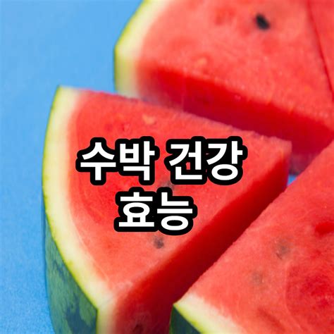 수박의 건강효능