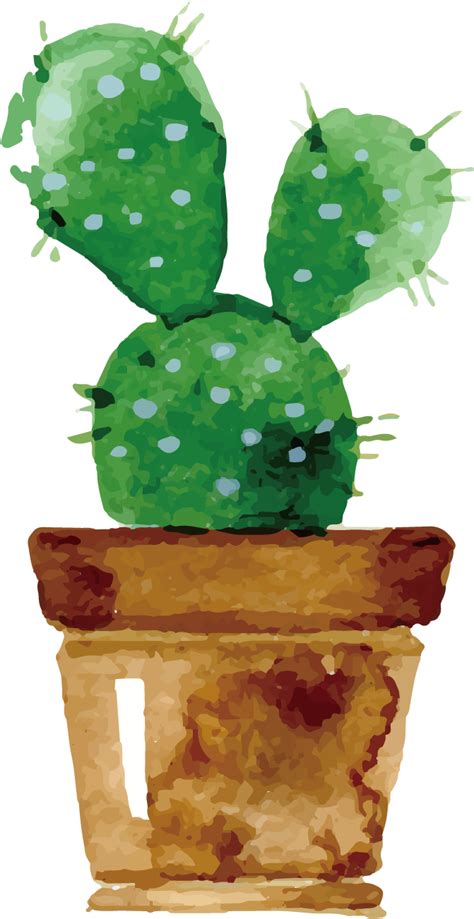 Cute Cactus Drawing Cute Succulent Drawing Let S Learn How To Draw