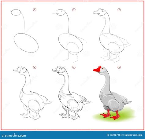 Page Shows How To Learn To Draw Step By Step Cute Goose From Farm