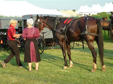 The Amish Today American Experience Official Site Pbs