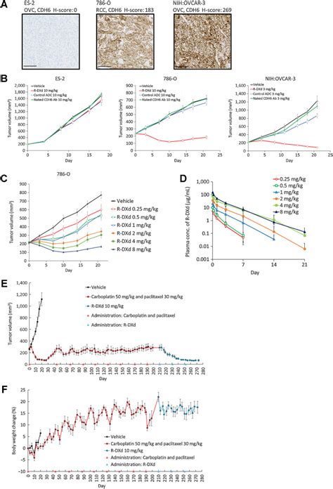 Ovarian Cancer Cell Line Ovcar 3 ATCC Bioz