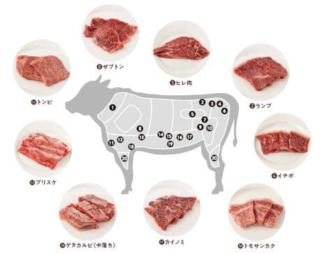 お肉をたべる お肉の栄養、部位図鑑とフードロスの減らし方まで ｜食zenラボ・食育コラム