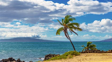 Maalaea Beach Is A Quiet And Overlooked Beach On Maui