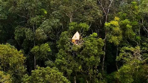 SOLO CAMPING HUJAN DERAS MEMBUAT RUMAH POHON DI HUTAN YouTube