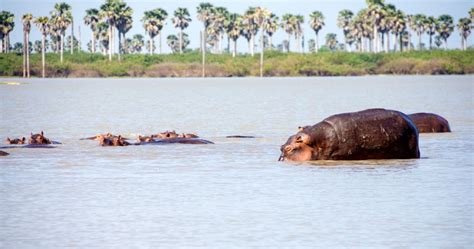 The Largest National Parks In Africa | TheTravel