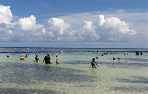 Pese A Recale De Sargazo Mantienen Limpias Playas De Mahahual