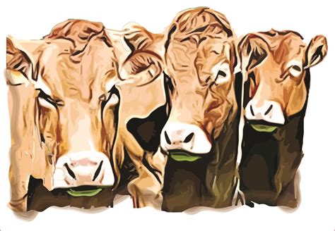 Cows PNG Sublimation Graphics Clipart Graphic By AlaBala Creative