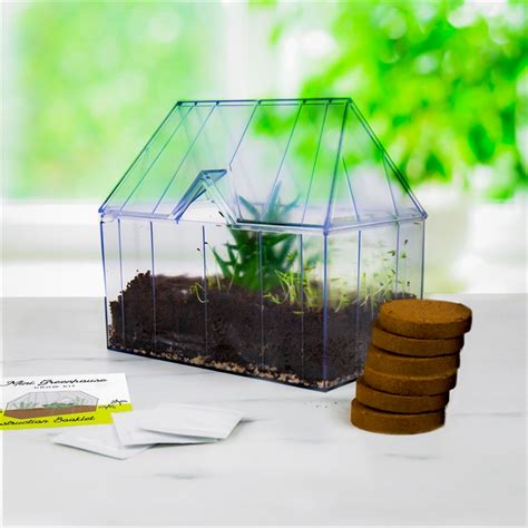 Mini Indoor Greenhouse Grow Kit Find Me A T