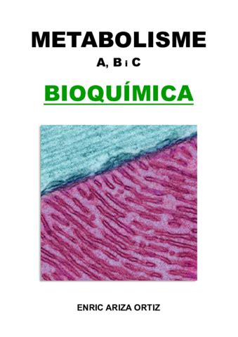 Apunts Metabolisme A B I C Pdf