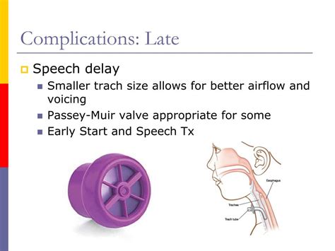 Ppt Pediatric Tracheostomy Powerpoint Presentation Free Download