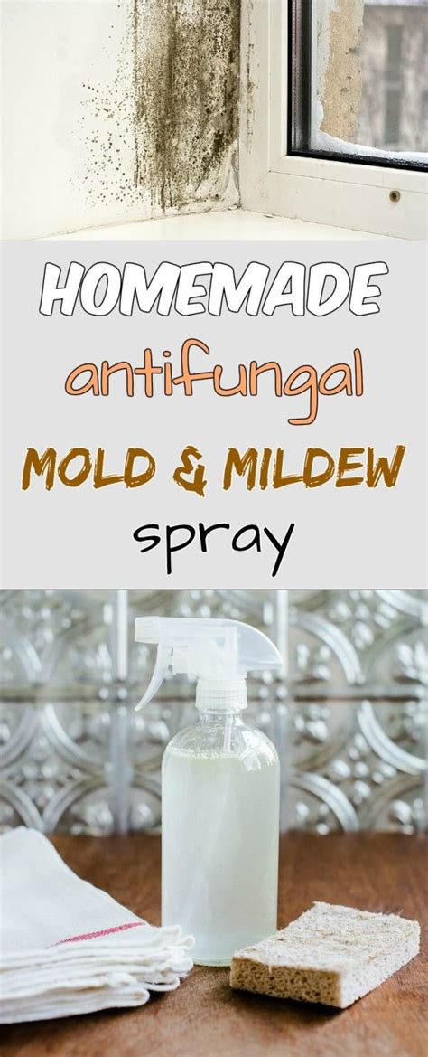 Homemade Antifungal Mold And Mildew Spray Cleaning Hacks Homemade