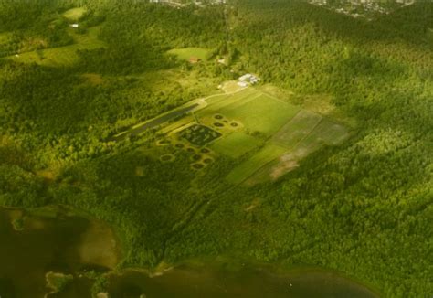 Forever Protected Why Petawawa Terrace Belongs