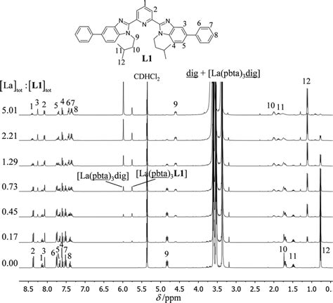 ¹H NMR titration of L1 10 mM with La pbta 3dig in CD2Cl2 0 14 m