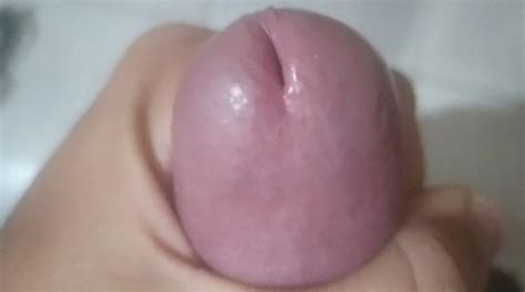Squeezing The Head Of My Dick Until It Turns Red Gay Bareback Porn Feat Excitado28 XHamster