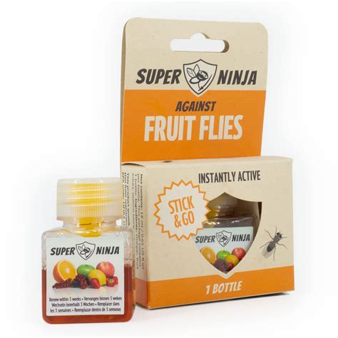 Buy Super Ninjafruit Fly Trap Single Pack Highly Effective Ecological Fruit Fly Traps Indoor