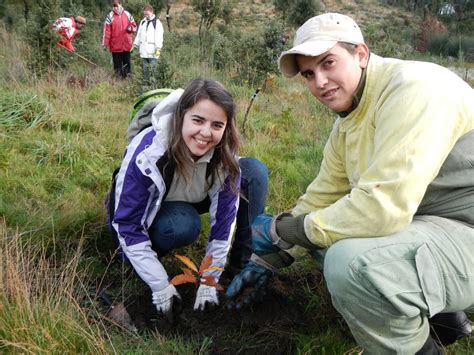 No Dia Da Floresta Aut Ctone Vamos Plantar Em Santo Tirso Futuro