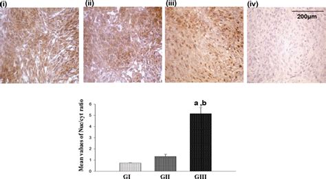 Representative Immunohistochemical Staining Of AHR In I Grade I Ii