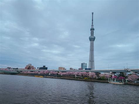 Tokyo Skytree Tickets Height Facts Dining And More Rgwords