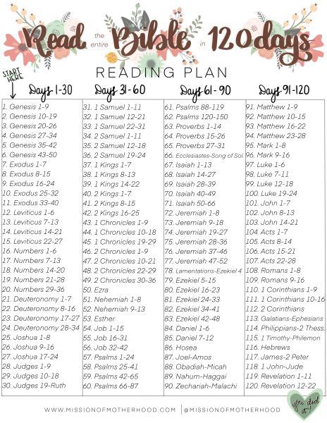 120 Day Bible Reading Plan Year Bible Reading Plan Bible Reading