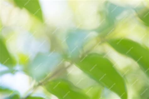 Premium Photo Abstract Spring Background Green And Blue Abstract