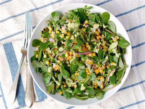 Purslane Recipes Salad | Bryont Blog