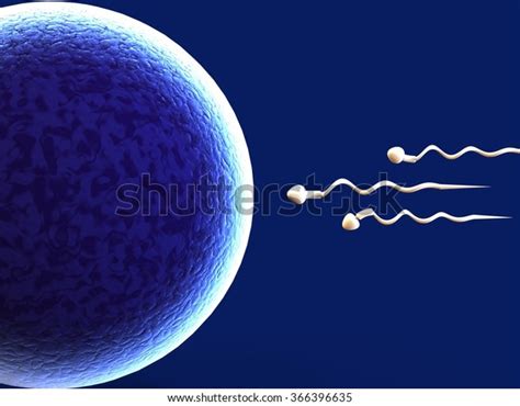 D Render Representing Human Sperm Egg Stock Illustration