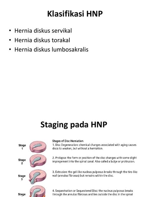 Klasifikasi Hnp Pdf