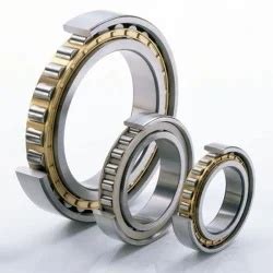 Insocoat Bearings Electrically Insulated Cylindrical Roller Bearing