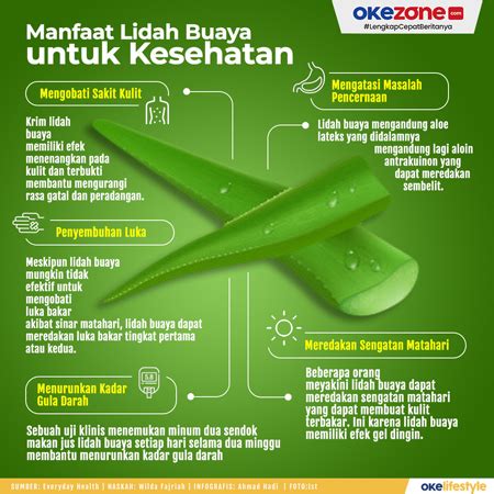 Manfaat Lidah Buaya untuk Kesehatan 0 : Foto Okezone Infografis