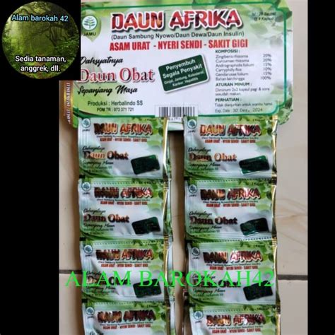 Daun Afrika Kapsul Isi 20 Sachet 2 Kapsul Daun Sambung Nyowo Daun