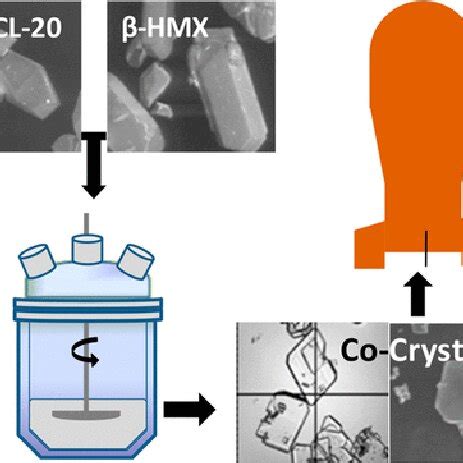 Morphological Changes Observed During Co Crystallization Of Proposed