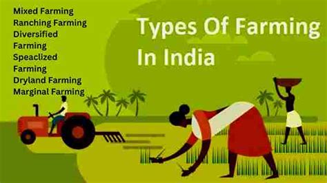 Types Of Farming System Concept Factor Affecting