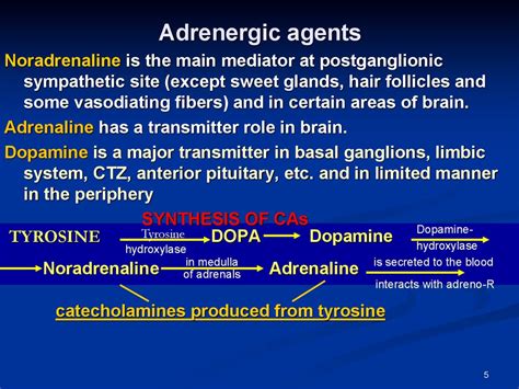 Adrenergic Agents презентация онлайн