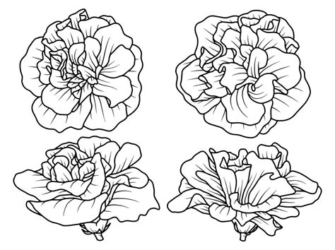 Hand Drawn Flower Sketch Line Art Illustration Set 21457469 Vector Art