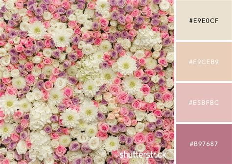 Neutral Pastel Color Palette Hex Codes