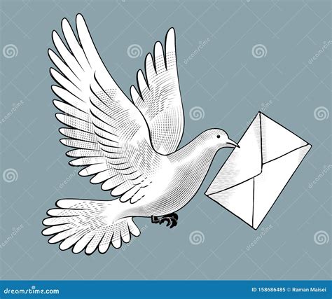 Post Pigeon Sketch Vector Illustration | CartoonDealer.com #75519134