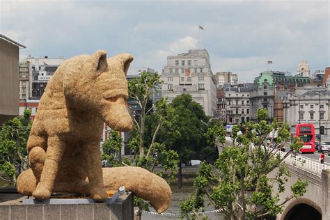 urban fox southbank centre  alex rinsler