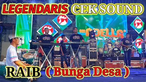 Cek Sound Legendarisraib Bunga Desa Cumi Cumi Audio Ft Adella Live