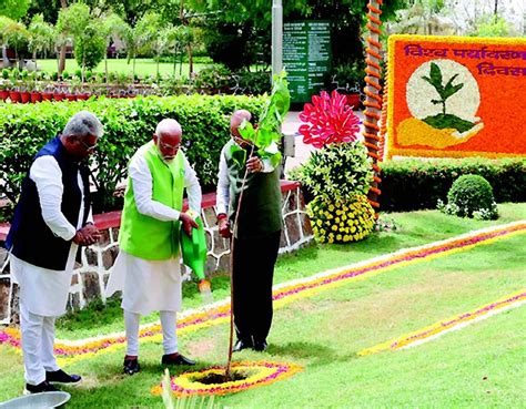 Pm Modi Launches Ek Ped Maa Ke Naam Campaign On World Environment Day