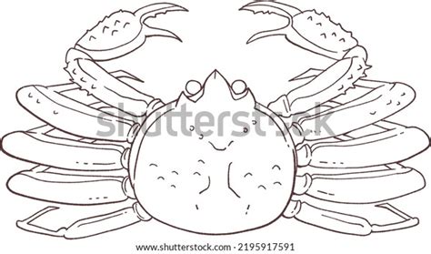 Crab Hand Drawn Line Drawing Illustration Stock Vector Royalty Free