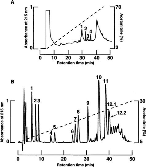 Reversed Phase Hplc On An Aquapore Rp Column Of The Cnbr Peptides