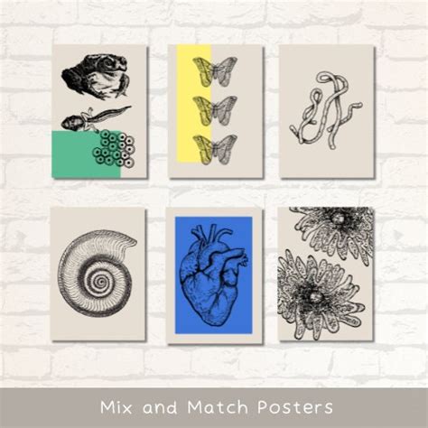 Biology Classroom Wall Art Poster Set of 18 Biology Science Printables ...