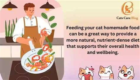 The Benefits of Homemade Cat Food & Improving Your Cat's Health