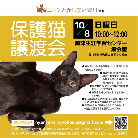 108日保護猫譲渡会を開催します ニャンとかしまい豊川 活動ブログ